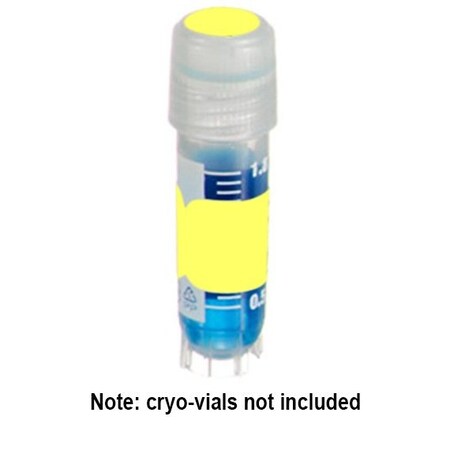 Diversified Biotech DirectThermal Tags (1.5x0.5") and Spot (3/8") Combo, Yellow, 500 sets/pk, 500PK 249404Y